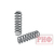 Пружины РИФ передние Jeep Grand Cherokee ZJ (1992-1998) +20 кг усиленные штатные