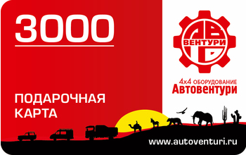 Карта подарочная 3000